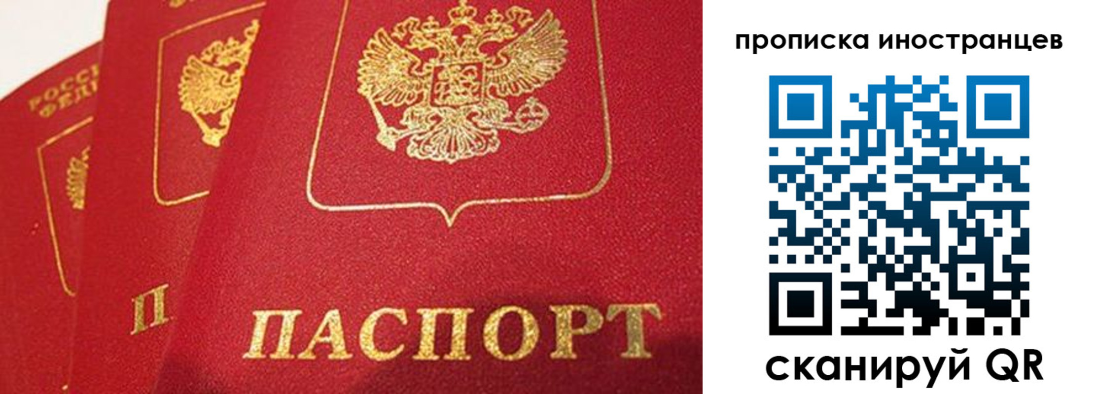 прописка поиск в Аркадаке